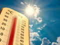 Dünya Meteoroloji Örgütü raporu: Küresel ortalama sıcaklıklarda rekor bekleniyor