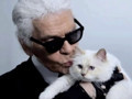 Kedisine servet bırakmıştı: Karl Lagerfeld’in yaklaşık 200 milyon euroluk mirası davalık oldu