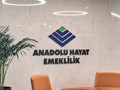 Anadolu Hayat Emeklilik'te sermaye artırımı onaylandı