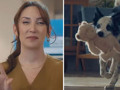 Tepkilerin odağındaki Bosch'un Anneler Günü reklamı yayından kaldırıldı