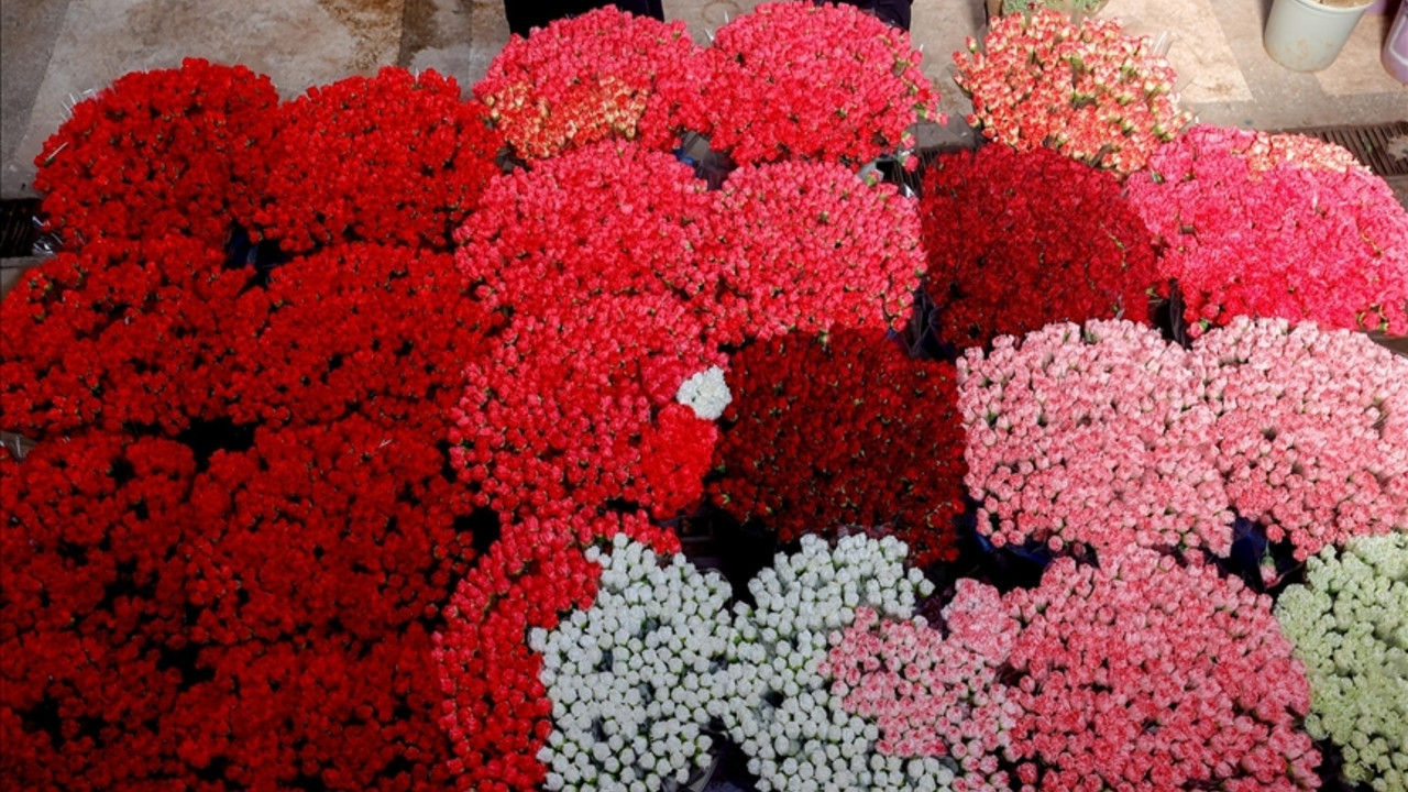 Türkiye'de en çok üretilen çiçekler belli oldu