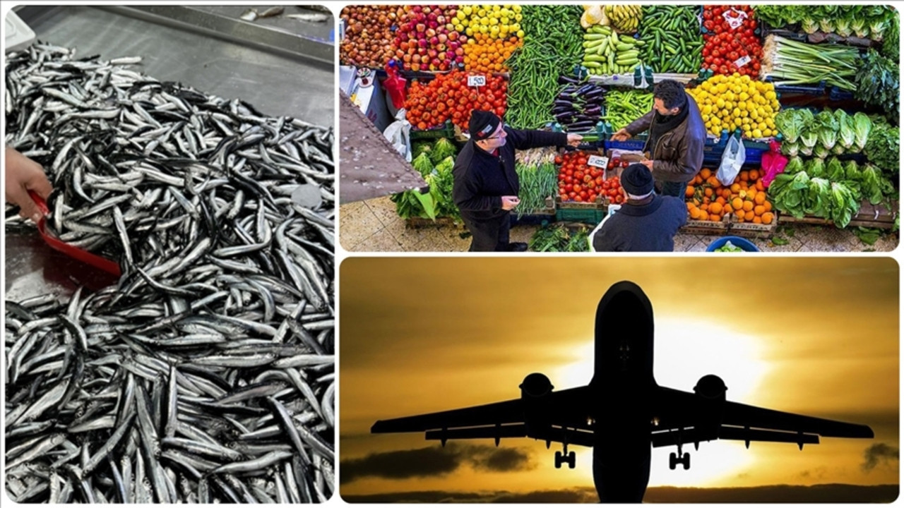 Aralıkta taze balık zam şampiyonu, en sert düşüş uçak biletinde