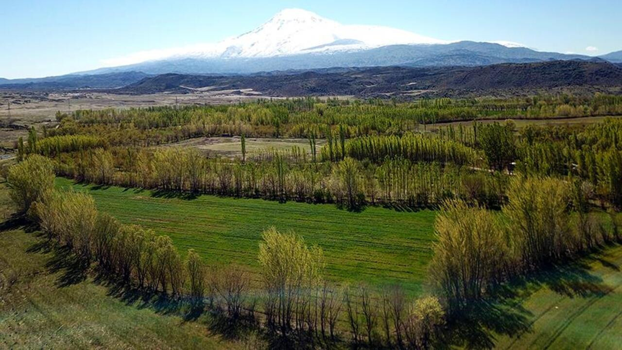 Orman kadastrosu ve 2B uygulama yönetmeliği yenilendi