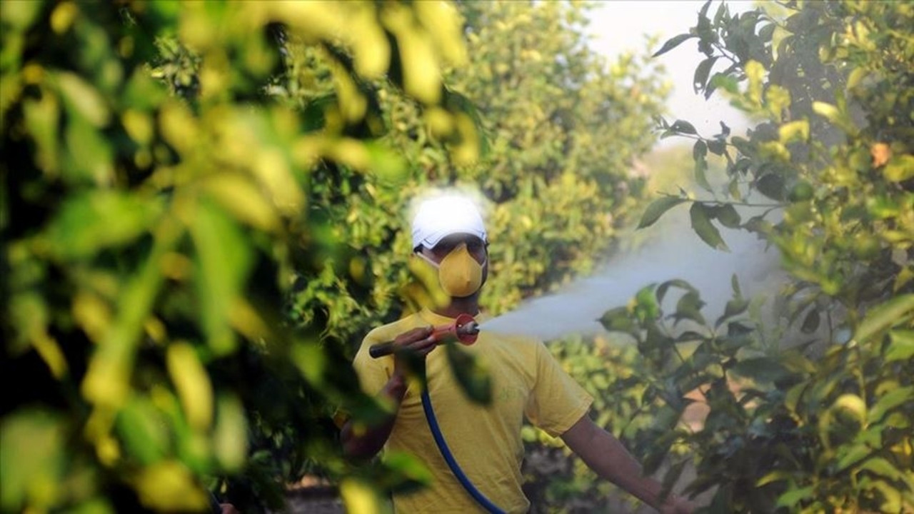 Tarımda yeni dönem: 5 soruda B-Reçete uygulaması