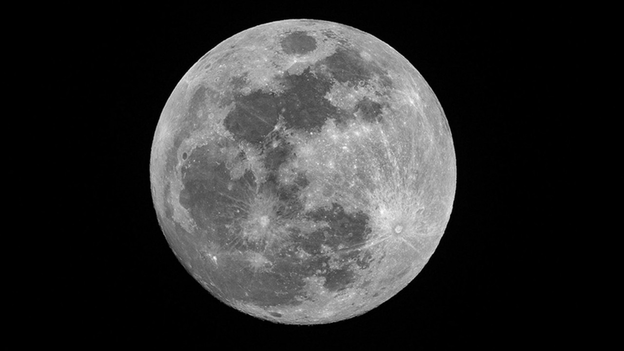 WSJ: Elon Musk'ın SpaceX'i Ay yolculuğuna öncelik vermek için Mars görevini erteledi