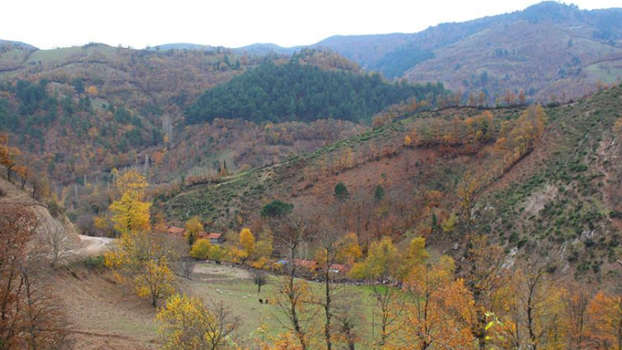 Türk Altın, İvrindi’deki maden ruhsatını devralmak için anlaşma imzaladı