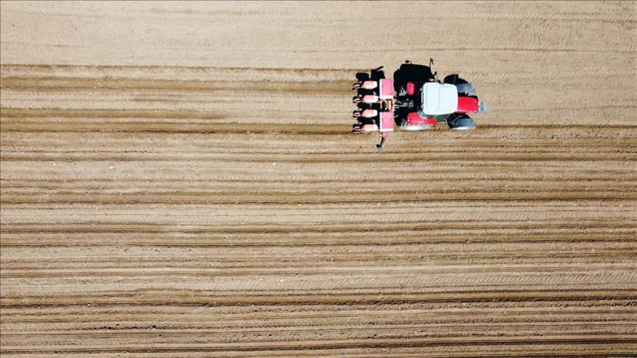 Savaşta korkutan gıda senaryosu: En çok bu ülkeler etkilenecek