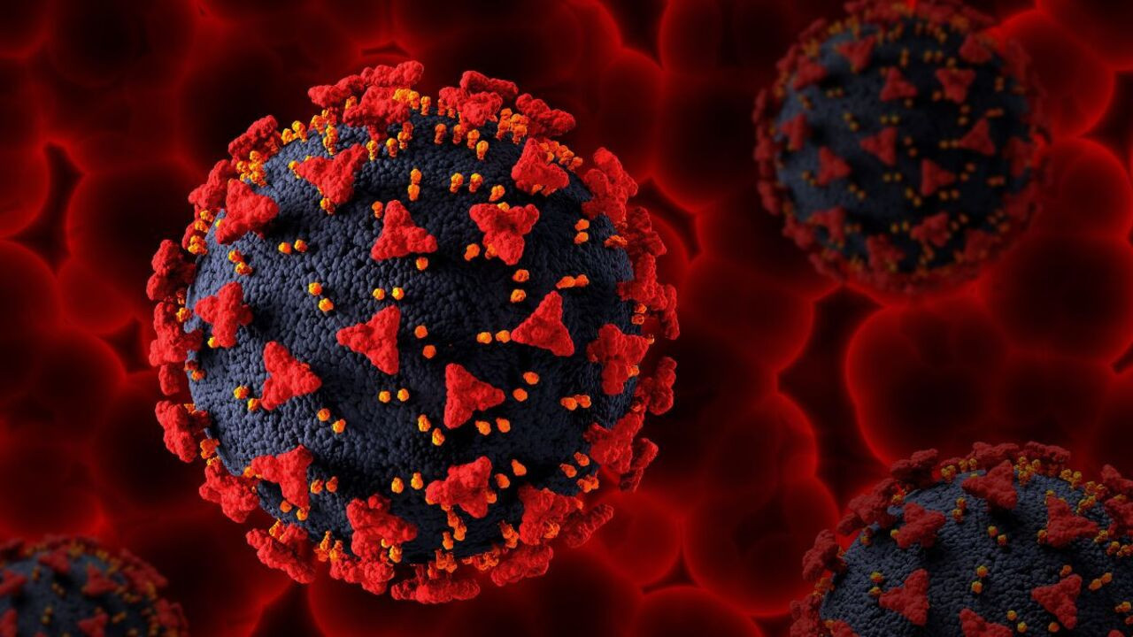 Covid-19'da BA.3.2 alarmı: Dünya genelinde hızla yayılıyor!