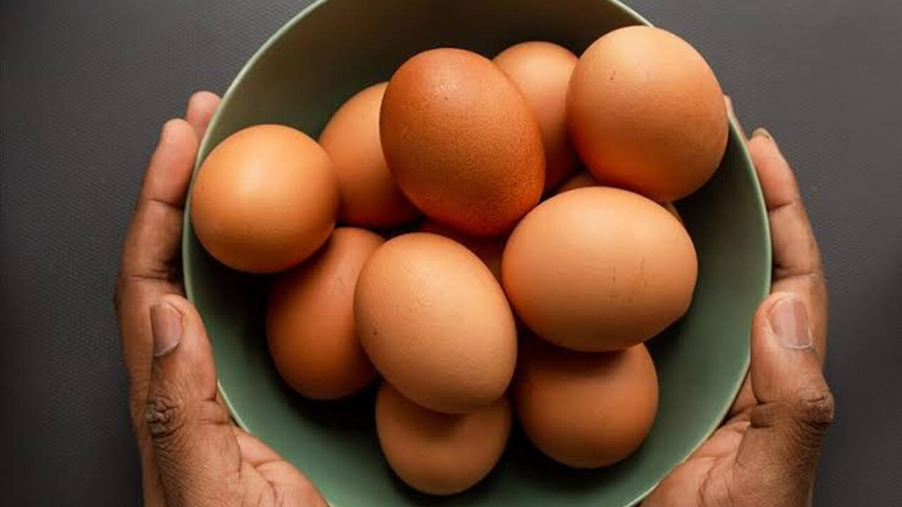 Salmonella salgını büyüyor! 8 ülkeye yayıldı, 306 kişi hastalandı