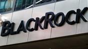 Blackrock'a göre hisse senetlerinde uzun vadeli kazanç hala mümkün