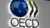 OECD'den CNBC-e'ye özel açıklama: Türkiye'ye yatırımcı ilgisi artıyor, riskler hala masada