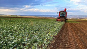 Çiftçilere 471,6 milyon liralık destek ödemesi bugün yapılacak
