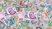 Para birimlerinin 2025 performansı: Ruble zirvede, TL'de durum ne?
