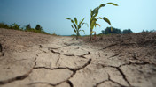 K&uuml;resel ekonomi i&ccedil;in yeni tehdit El Nino... D&uuml;nyayı trilyon dolarlık zarar bekliyor