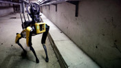 ABD’de göç operasyonlarına robot köpek desteği! Milyon dolarlık plan ortaya çıktı
