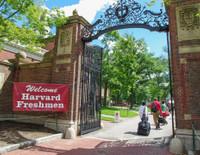 Harvard Üniversitesi'nin bağış fonu 2024 mali yılında 53,2 milyar dolara yükseldi