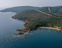 Orman alanlarının deniz kıyısında kalan bölümü özel mülkiyete tahsis edilebilecek