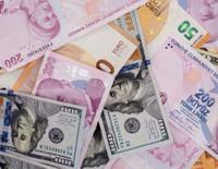 Merkez Bankası döviz kurları