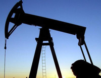 Petrol hakkına müteallik karar