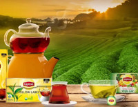 Lipton, Türkiye'den çekildi mi? Tesisleri devralan çay şirketinden açıklama