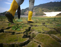 İklim krizinin maliyeti 310 milyar doları geçti: Gelişmekte olan ülkeler finansman açığıyla karşı karşıya