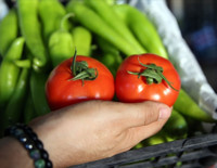 Tarım, gıda ve içecek sektöründen 9 ayda 19,67 milyar dolarlık ihracat