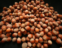 Rekabet Kurulu’ndan Ferrero için yeni karar: Fındık alım taahhüdünü revize etti