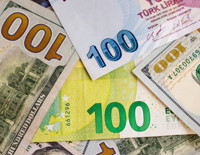 Döviz sevdalısı iller belli oldu: Dört ilde paranın yarısı dövizde