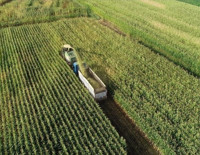 BM Gıda ve Tarım Örgütü: Türkiye'ye 8,1 milyon dolarlık kaynak sağlandı