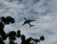 ABD’de uçuşlar normale dönüyor: 40 havalimanındaki kısıtlamalar sona eriyor