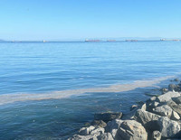 Kıyı tesisleri deniz kirliliği zorunlu mali sorumluluk sigortasında teminatlar artırıldı