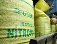 Gübretaş hisselerinde sert düşüş