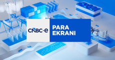 Para Ekranı