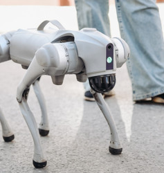 Robot köpekleri gezdirene saatlik 20 dolar: Aşırı ısınırsa sırtlayıp taşıyacaklar