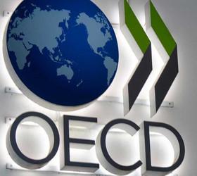 OECD'den CNBC-e'ye özel açıklama: Türkiye'ye yatırımcı ilgisi artıyor, riskler hala masada