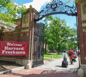 Harvard Üniversitesi'nin bağış fonu 2024 mali yılında 53,2 milyar dolara yükseldi