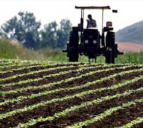 Çiftçilere 2,6 milyar liralık destek ödemesi yarın yapılacak