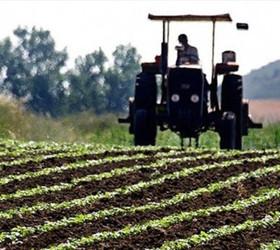 Tarım ÜFE 44 ay sonra yüzde 30'un altında