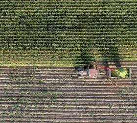AB'de genç çiftçilere destek adımı: 300 bin euroya kadar ödeme sağlanacak