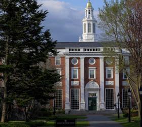ABD Dışişleri Bakanlığı'ndan Harvard açıklaması: "Buralar solcu aktivizmin merkezi değil"