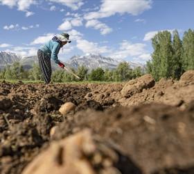 Çiftçilere 3,3 milyar lira destek ödemesi bugün yapılacak