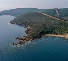Orman alanlarının deniz kıyısında kalan bölümü özel mülkiyete tahsis edilebilecek