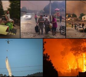 Bilecik, İzmir ve Hatay'da orman yangınlarından etkilenenlere 12,3 milyon liralık destek