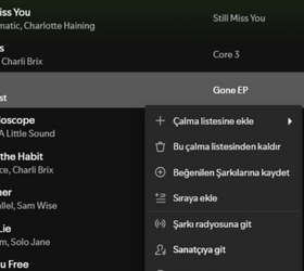 Bakan Yardımcısı'ndan Spotify'a 'playlist' tepkisi: Gerekli her adım atılacak