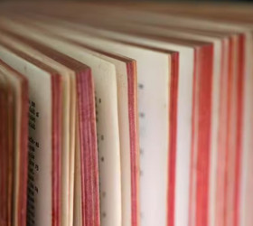 Cambridge Sözlüğü sosyal medya dilini kayda geçirdi: ‘Skibidi’, ‘tradwife’ ve 6 binden fazla kelime