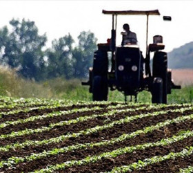 Tarımsal girdi fiyatlarında 5 ayın en yüksek artışı