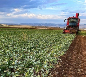 Çiftçilere 471,6 milyon liralık destek ödemesi bugün yapılacak