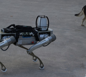 Türk start-up’tan milli robot köpek: 2026 başında göreve hazır olacak