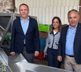 "Hasat sonrası zeytinyağı fiyatı yüzde 10 artabilir"