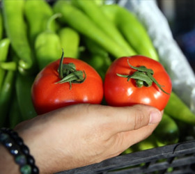 Tarım, gıda ve içecek sektöründen 9 ayda 19,67 milyar dolarlık ihracat